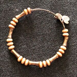 Gold Bamboo Alex and Ani Bracelet - Vintage Look